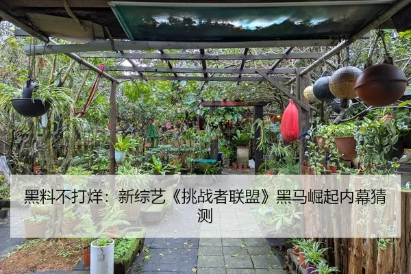 黑料不打烊：新综艺《挑战者联盟》黑马崛起内幕猜测